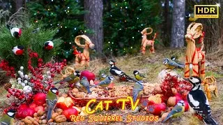 Thumbnail: CAT TV NO ADS😻 Countless Little Birds for Cats to Slap on Christmas time