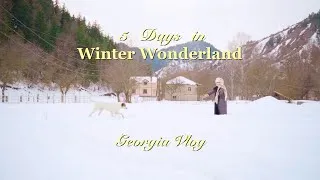 Thumbnail: ❄️ 5 Days in WINTER WONDERLAND | Georgia ❄️