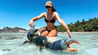 Thumbnail: Island Survival Living | GIANT Crab Catch & Cook