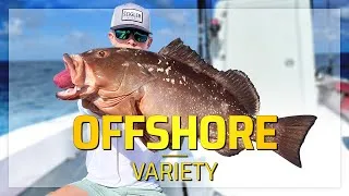 Thumbnail: Saltwater Fishing for Beginners - Mixed Bag