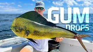 Thumbnail: Mahi Fishing Only 2 miles Offshore!