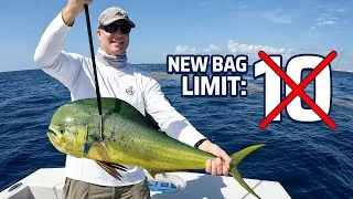 Thumbnail: Watch This Before Mahi Mahi Fishing
