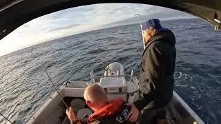 Thumbnail: Leo's Longtail - Tweed Heads