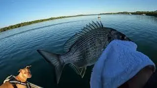 Thumbnail: Bream Taylor session - Tweed Heads 