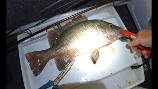 Thumbnail: Winter Hoodie Mangrove Jack