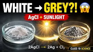 Thumbnail: Class 10 Science |AgCl+ SUNLIGHT | NCERT