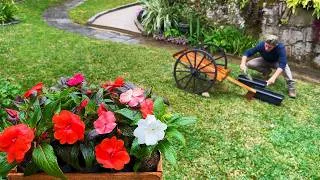 Thumbnail: 3 Creative Ideas to Decorate Your Garden with Flowers!🌹🌿