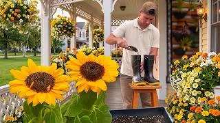 Thumbnail: 4 Yellow Flower Ideas That Will Bring Your Garden to Life!🌼🌼🌼