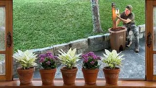 Thumbnail: Creative Ideas for Garden Decor that will Surprise You! #4