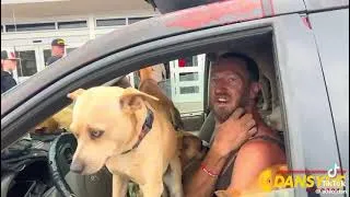 Thumbnail: Rolling with my dogs 🐕 🤪 Jamaican mungrel dogs. 