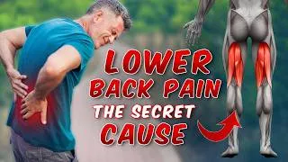Thumbnail: Physical Therapist Teaches One Exercise to Fix Lower Back Pain