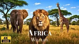 Thumbnail: African Safari Animals 4K: Lions, Elephants, Giraffes | Real Sounds of the Savanna