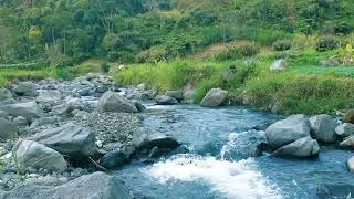 Thumbnail: Flowing Jungle River Sounds 🌿 Relaxing Nature White Noise River Sound 1 Hours