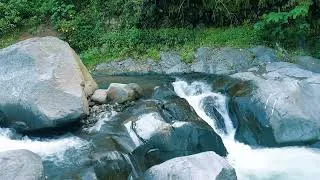Thumbnail: Nature Therapy 🌿 Peaceful Jungle River sound for Sleep and Meditation
