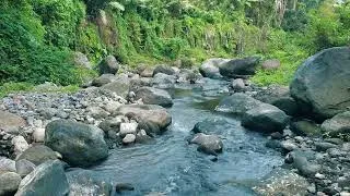 Thumbnail: The Most Relaxing Jungle River You’ll Hear 🌿 Nature River Sounds Ambience 1 Hours