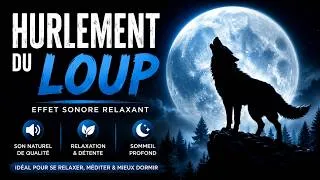 Thumbnail: Hurlement réaliste d'un loup à la lune | Effet sonore relaxant de la nature