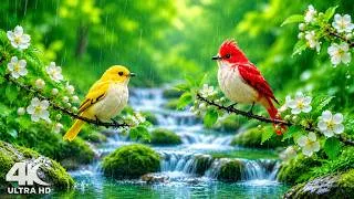 Thumbnail: 4K Soft Rain Through the Green Forest 🌧️ Calm Nature Sounds for Relaxation 🌿