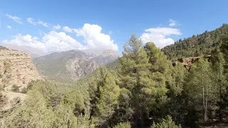 Thumbnail: A tour between the mountains and trees..Enjoy with me the view of the mountain