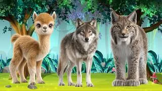 Thumbnail: 🦁 Amazing Animal Sounds: Llama, Wolf, Lynx, Kangaroo, Monkey, Cheetah - Animal Video