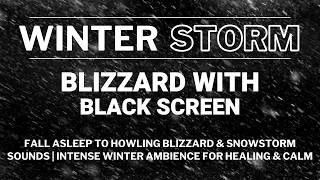 Thumbnail: Fall Asleep to Howling Blizzard & Snowstorm Sounds | Intense Winter Ambience for Healing & Calm