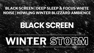 Thumbnail: Black Screen | Deep Sleep & Focus White Noise | Howling Winter Blizzard Ambience