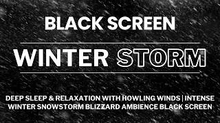 Thumbnail: Deep Sleep & Relaxation with Howling Winds | Intense Winter Snowstorm Blizzard Ambience Black Screen