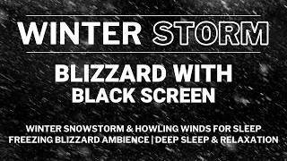 Thumbnail: Winter Snowstorm & Howling Winds for Sleep | Freezing Blizzard Ambience