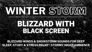 Thumbnail: Blizzard Winds & Snowstorm Sounds for Deep Sleep, Study & Stress Relief | Stormy Night Ambience