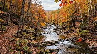 Thumbnail: 🍂 Autumn by the Creek | Peaceful Nature Sounds for Relaxation & Sleep