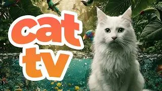 Thumbnail: Cat TV Paradise 🐠 Tropical Fish & Colourful Birds for Cats to Watch | Relaxing Music for Cats