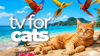 Thumbnail: Cat TV 🐠 Birds, Underwater Fish & Relaxing Music for Cats | Ultimate Cat Entertainment