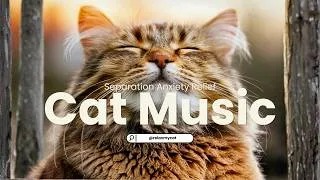 Thumbnail: Relaxing Music for Cats Home Alone 🐾 Calm Sounds While You’re Away