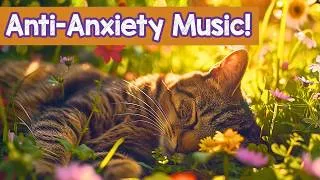 Thumbnail: Relaxing Music for Cats 🐱 Deep Sleep & Anxiety Relief