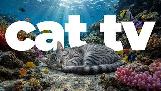 Thumbnail: Cat TV 🐱 Underwater Fish, Beautiful Birds & Relaxing Music for Cats | Calm & Entertain Your Cat