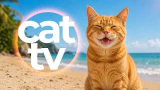 Thumbnail: Cat TV for Cats 🐦 10 Hours of Birds, Coral Reefs & Relaxing Music | Entertainment for Indoor Cats