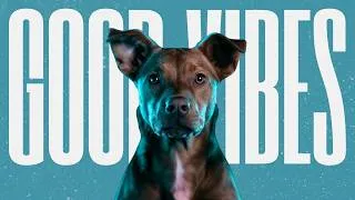 Thumbnail: Calm Music. Happy Dog.
