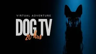 Thumbnail: DOG TV: Exciting Nature Adventures Created for Dogs Watching Indoors