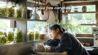 Thumbnail: a pause from everything. / a playlist for quiet hours/