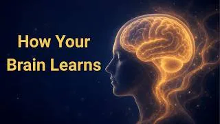Thumbnail: The Most Relaxing Facts About How Humans Learn — Fall Asleep to the Science of You