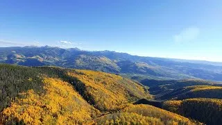 Thumbnail: Forest 4K Nature Relaxation Film | Relaxing Music with Beautiful Nature | Peaceful Piano