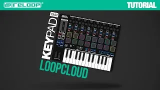 Thumbnail: Reloop Keypad Pro - Loopcloud - Compact DAW Workstation with Wireless MIDI - Tutorial