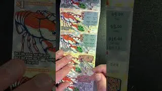 Thumbnail: SCRATCHED 20 $1 tickets. Did it pay off❓