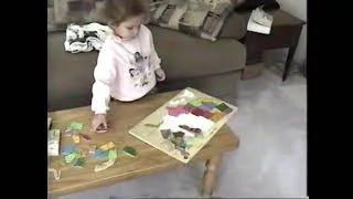 Thumbnail: Lili and the State Puzzle