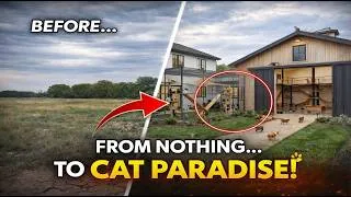 Thumbnail: ✅ From Empty Land to a Luxury Cat Paradise 🐾