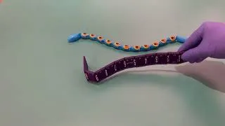 Thumbnail: Where Are the Segmented/Jointed Plastic Snakes From the 1970s? (No Sound)