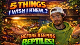 Thumbnail: 5 Things I Wish I Knew Before Keeping Reptiles (Real Talk)