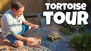 Thumbnail: Tortoise Expert House Tour