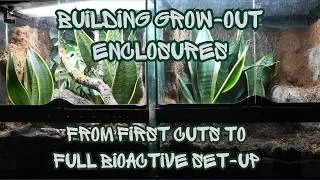 Thumbnail: DIY Grow-out enclosures for Chahoua geckos