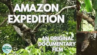 Thumbnail: AMAZON EXPEDITION | Full Wildlife Documentary (4K)