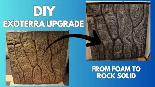 Thumbnail: DIY Exo Terra background upgrade: From Fragile Foam to ROCK-SOLID Vivarium Wall (DIY Grout & Seal)